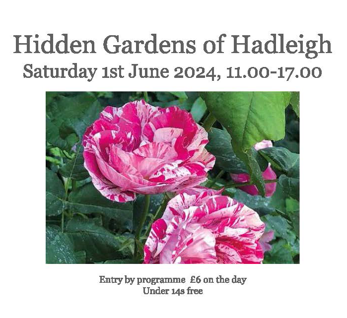 Hidden Gardens of Hadleigh 2020